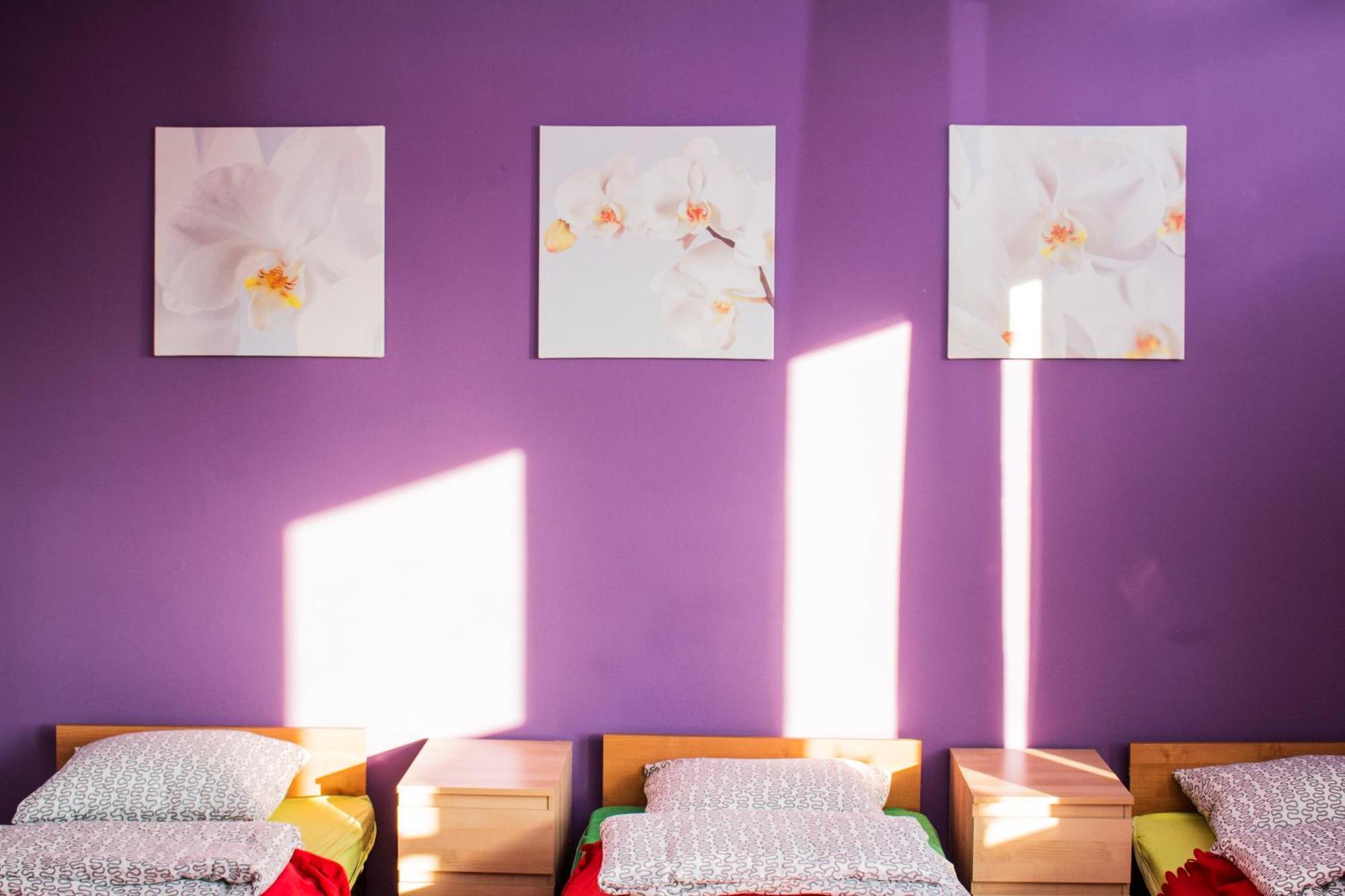Hostel Marymont